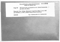 Melampsorella elatina image